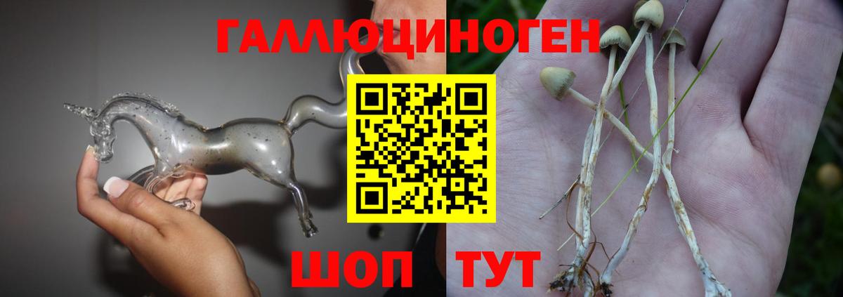 Псилоцибиновые грибы MAGIC MUSHROOMS Рязань